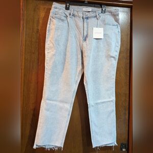 NWT Lovervet 20 High Rise Light Wash Slim Straight Leg Jeans